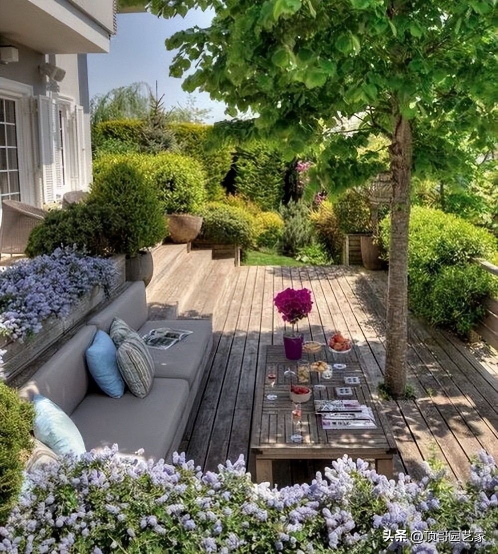 小庭院种树有哪些原则小庭院种什么树