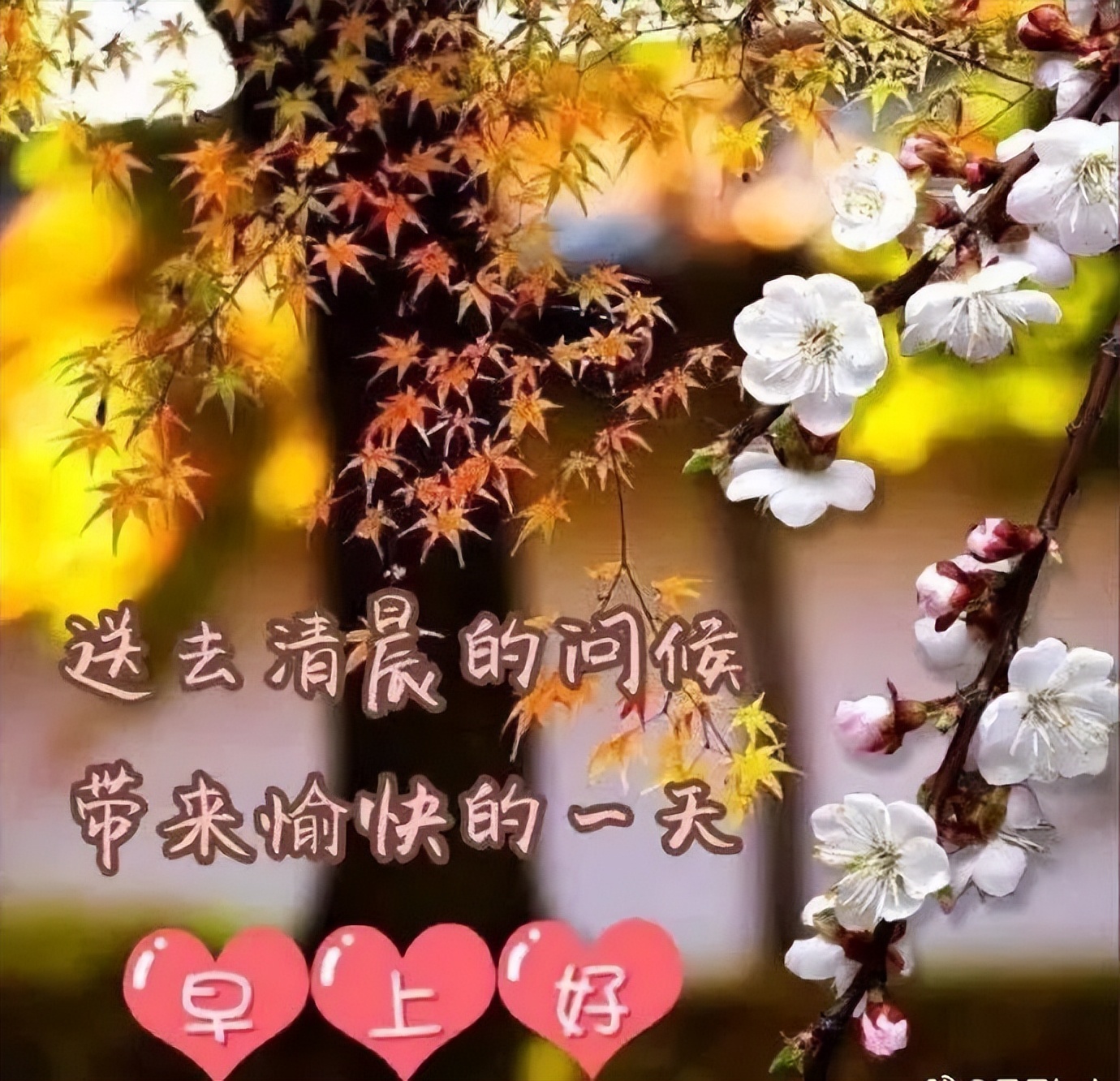 最新早上好微信暖心问候语录句子，祝朋友快乐幸福，明天更美好图片