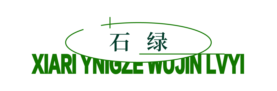 夏日迎泽，行走在无尽绿意中