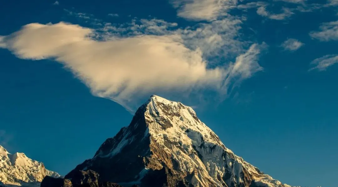 你眼中的律师，是什么样的？