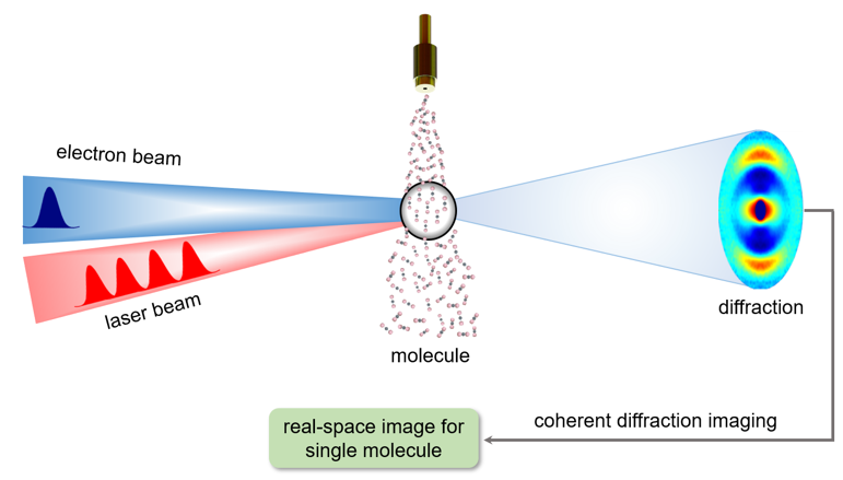 上海交通大学张杰院士、向导教授课题组取得新进展