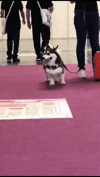 爸，你旁边的叔叔好帅，爸爸：这是你妈，网友当场笑喷了，哈哈哈