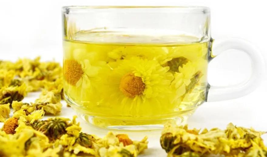 菊花泡水好处多多，菊花茶如何选？老茶友教你一招，不妨多做了解