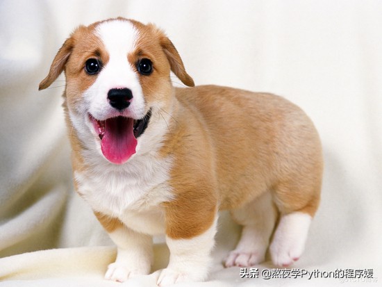 ![Python 细聊一下可以媲美 PS 的 PIL 图片处理库