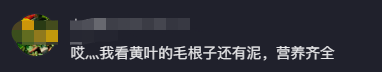 85岁马玉琴晚年凄苦，丈夫却整日大鱼大肉，年收入曝光令人咋舌