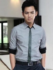 中国内地 奶油中年男星 钟汉良