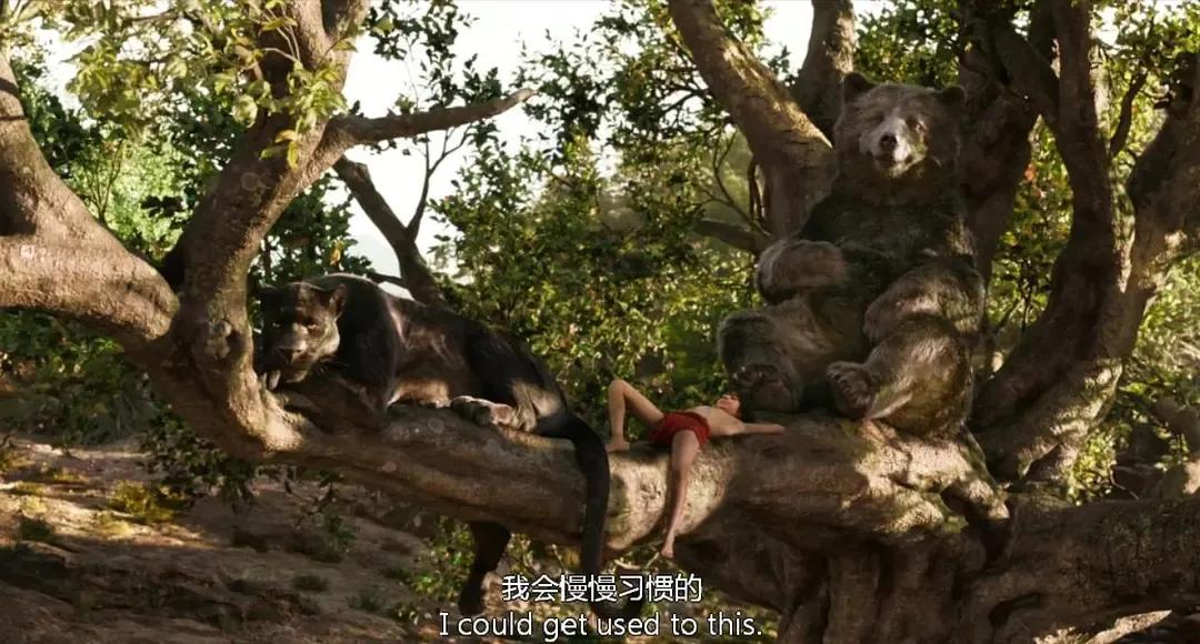 奇幻森林（电影）