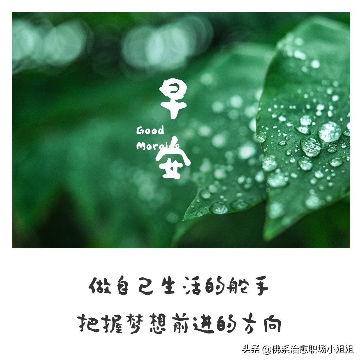 职场感悟：成长在每一份坚持与担当中
