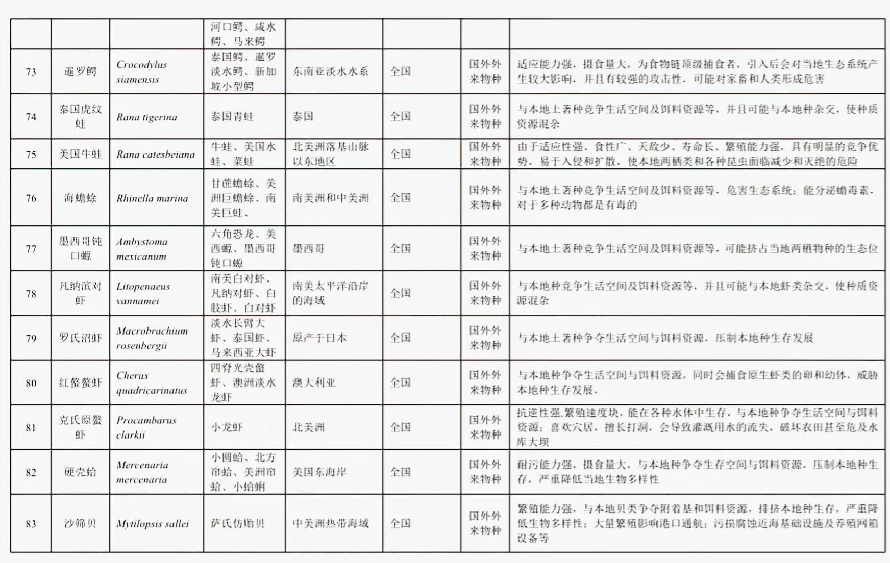 铁背鱼长什么样，95种禁放水生物图片介绍