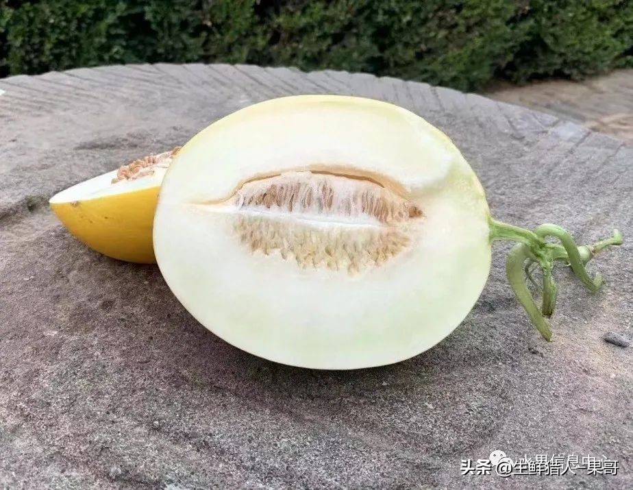 哈密瓜、蜜瓜、网纹瓜、香瓜、羊角蜜傻傻分不清？看完就明白了