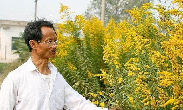 何家庆：“乞丐”般的教授，被绑架吃猪食，却让数万人过上好日子