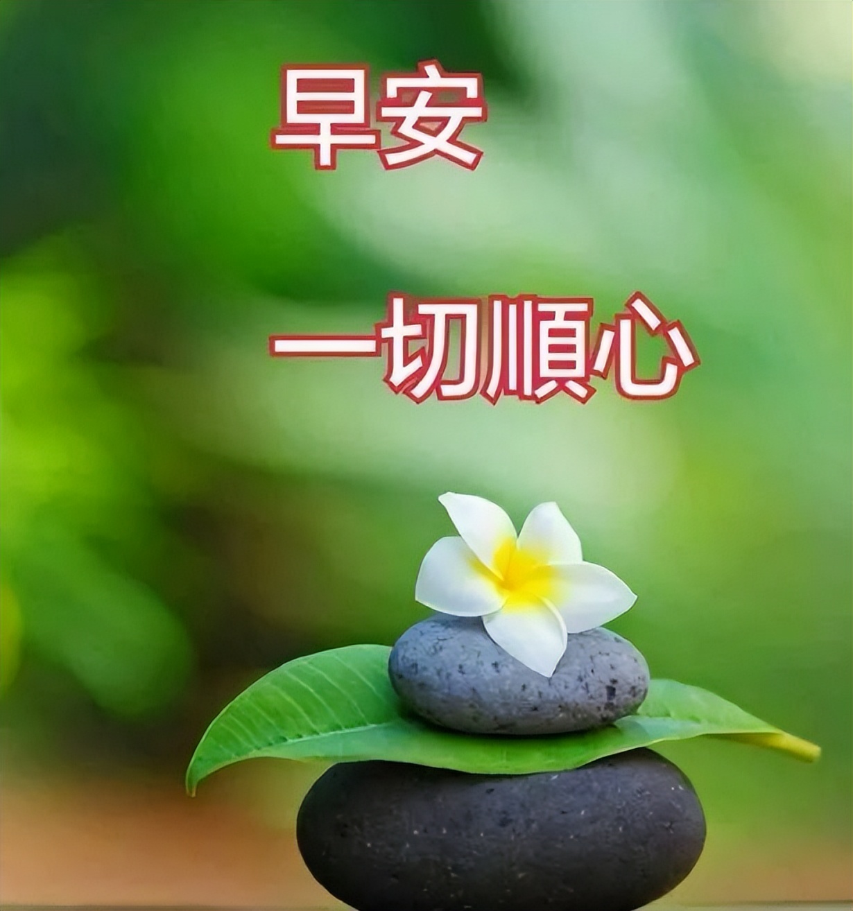 非常时期问候朋友早上好图片温馨带字 早上空气清新 叫你事事顺心图片