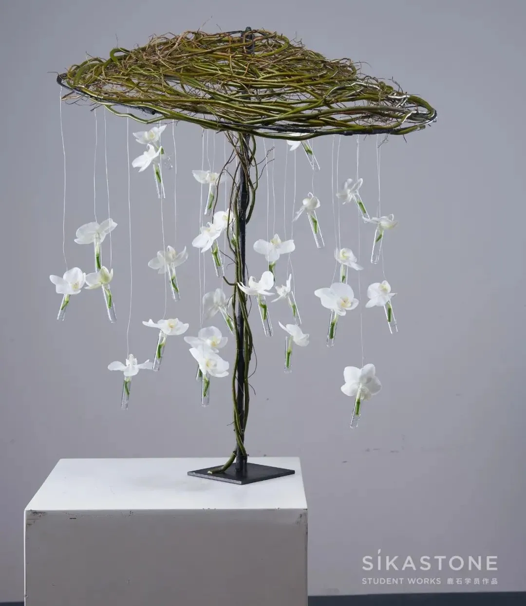 你离欧洲花艺大师还有多远?