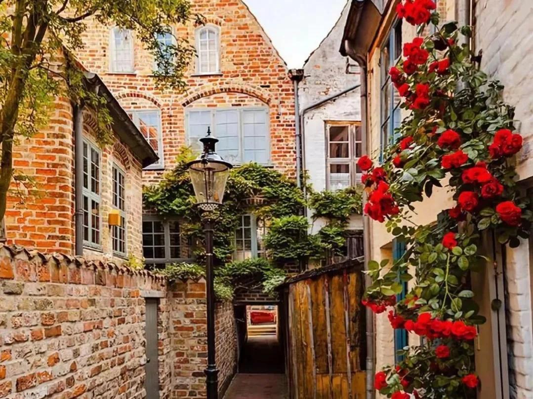 《追风筝的人》经典语句摘抄