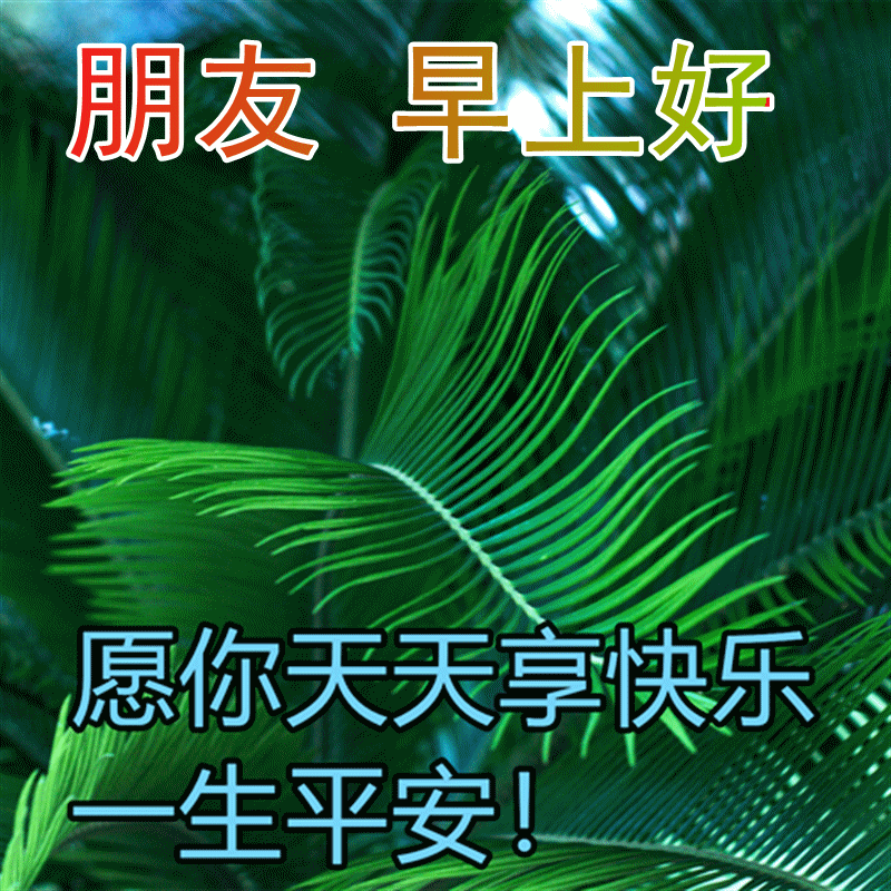 早上好祝福语录精选 早安表情包推荐 幸福手牵手，美好连成片图片