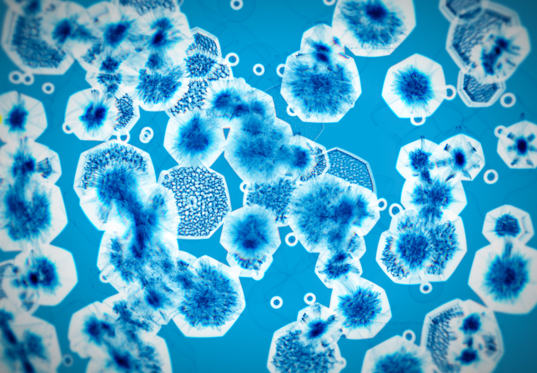石油是古生物形成的？一个油田上亿吨石油，有那么多古代生物吗？