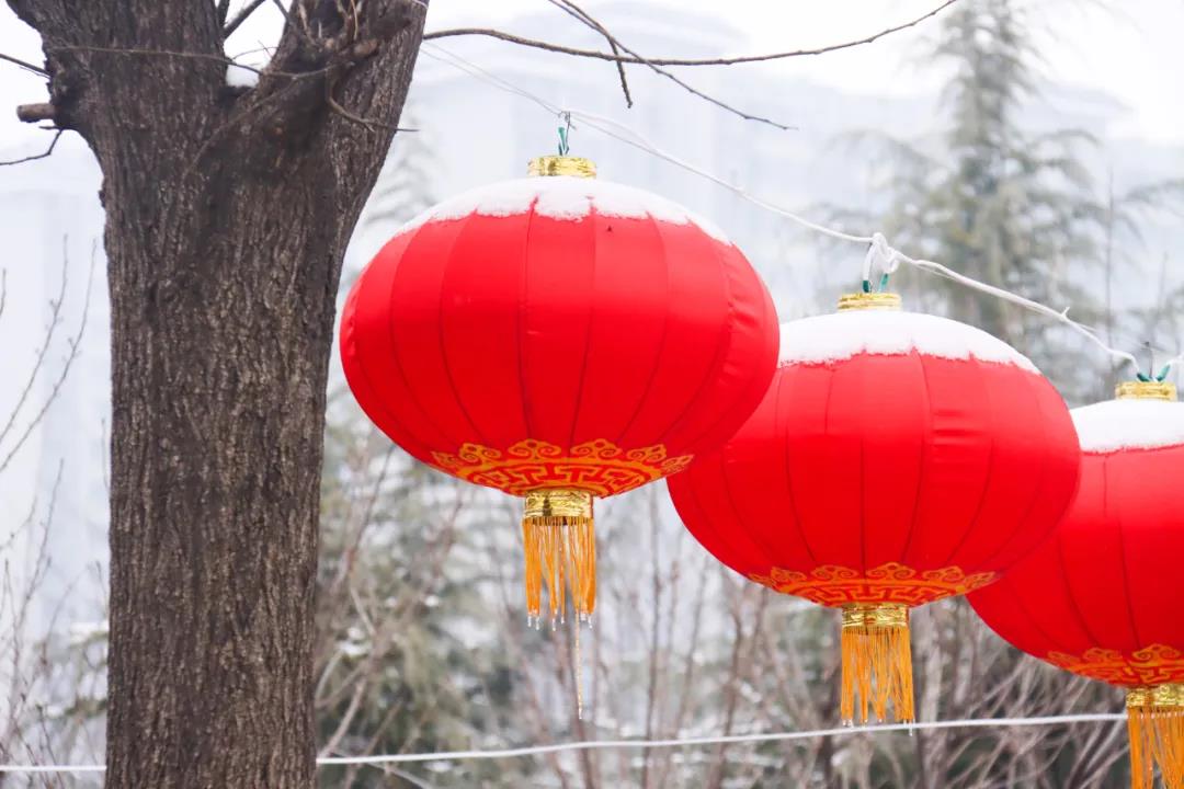 ����ĵ�һ������ѩ�������Ķ�����