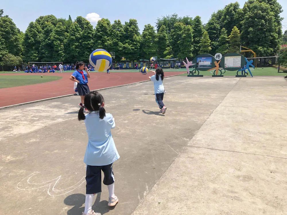 活力金小迎大运 阳光排球伴成长｜金桥小学排球联赛正式拉开帷幕