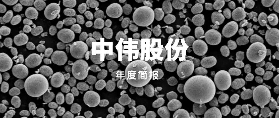 年度简报｜中伟股份的2021年变化是什么？