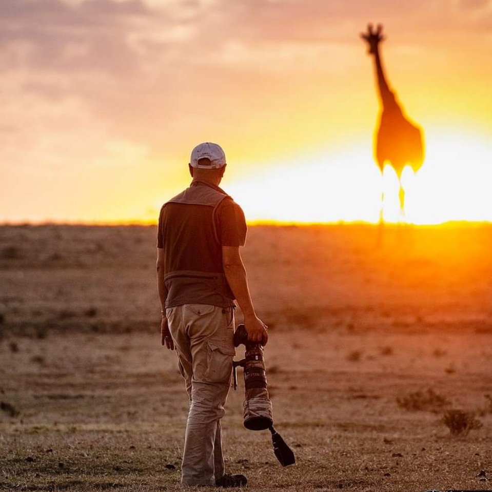 “单反终结者”—尼康Z9 非洲实战测评（二）划时代的对焦能力测评