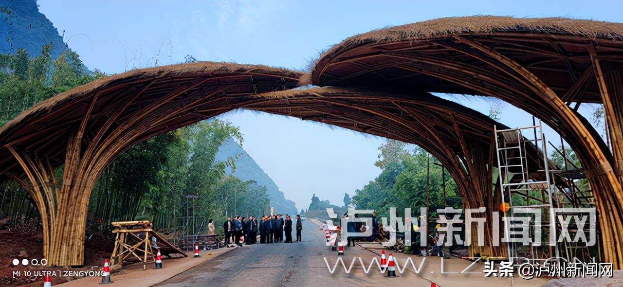 可游玩、可休憩……全长23公里 泸州最美竹林风景线邀你去打卡