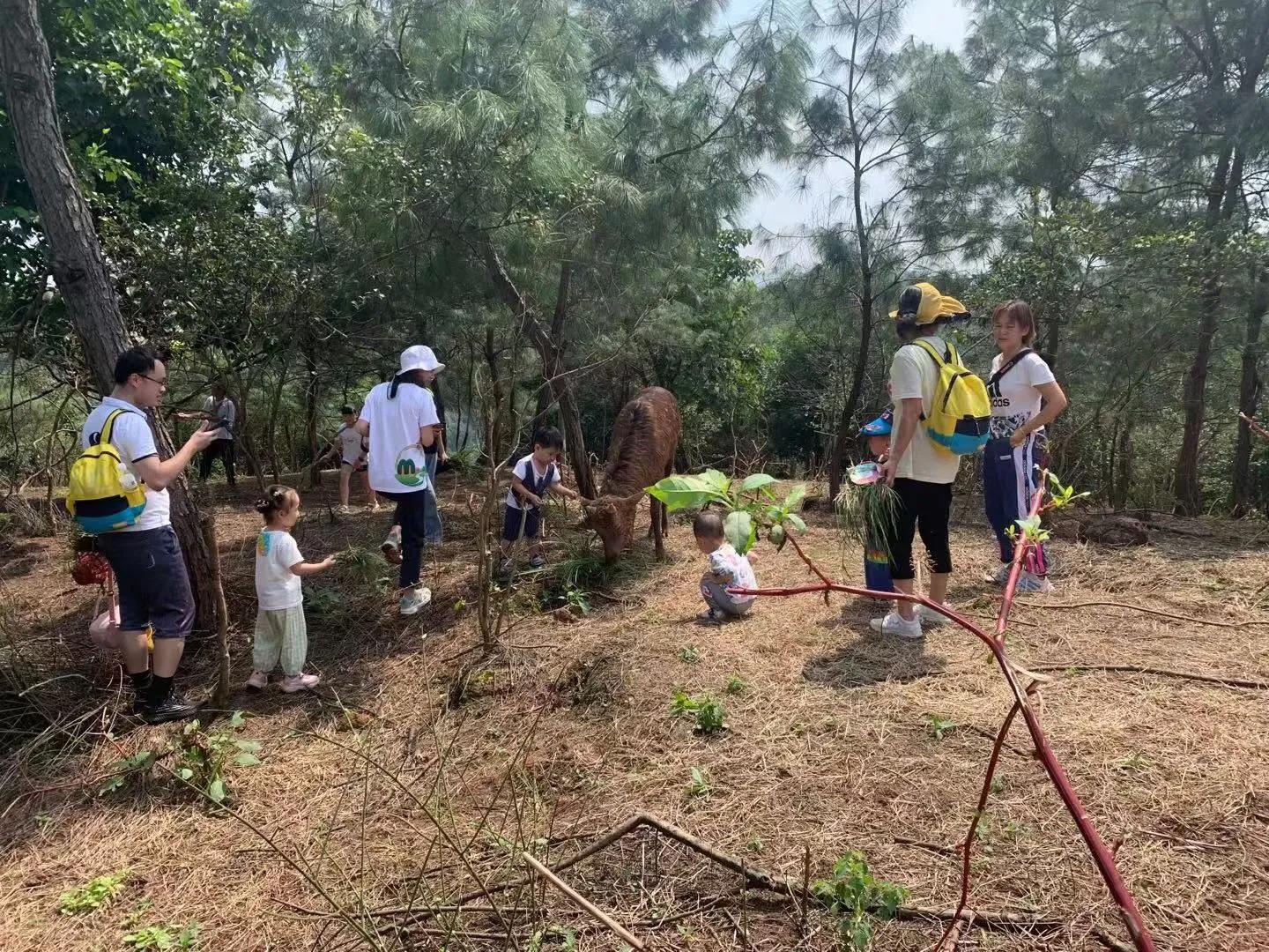 志诚梅花鹿养殖场场主青年创业先进代表肖莉荣获宜宾青年五四奖章