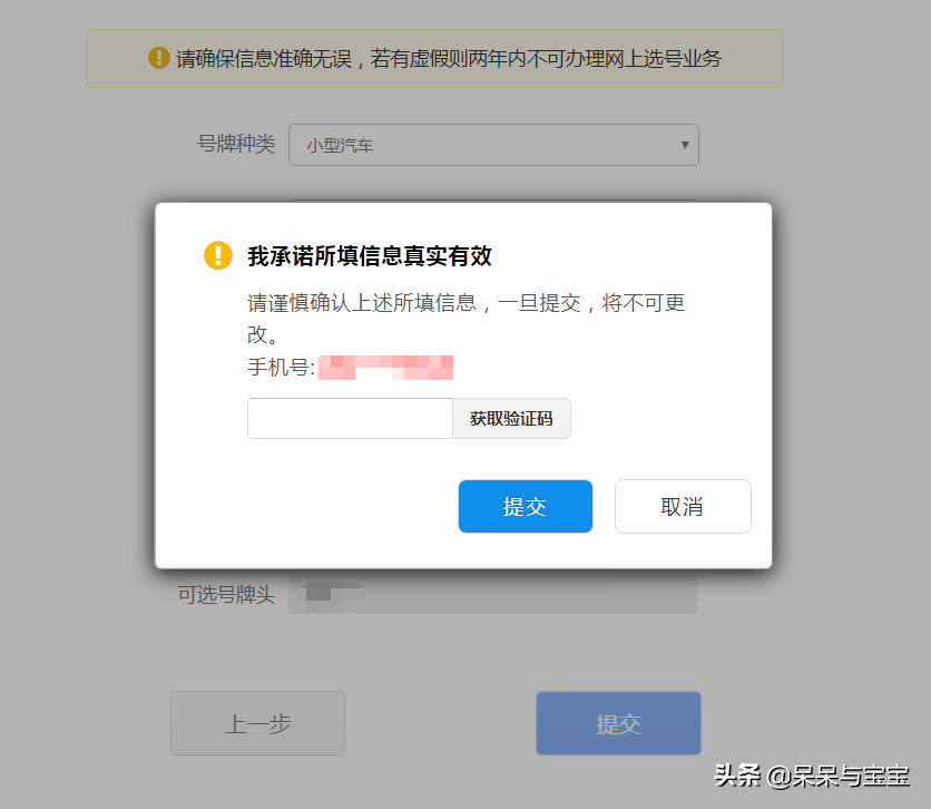 新车预选机动车号牌办理流程及注意事项