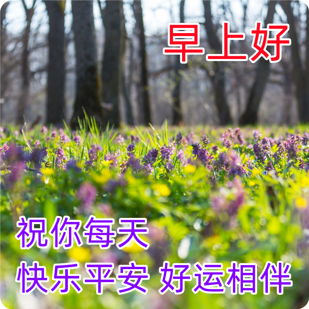 冬天暖暖的早晨好祝福语表情图片大全 愿你身心安康、喜乐平安图片