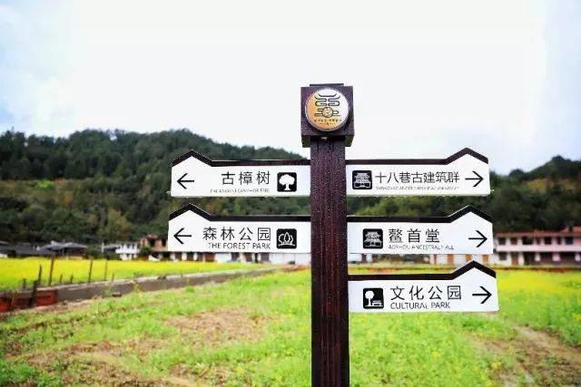 在德化邂逅曾姓宗亲，他们祖上从江西南丰发脉过闽