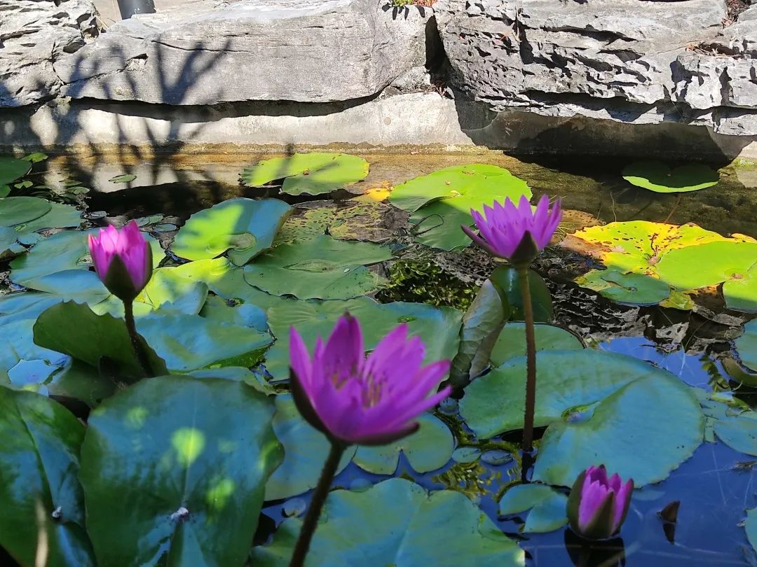 高考生看过来 | 广州华立学院（原广东工业大学华立学院）十大看点