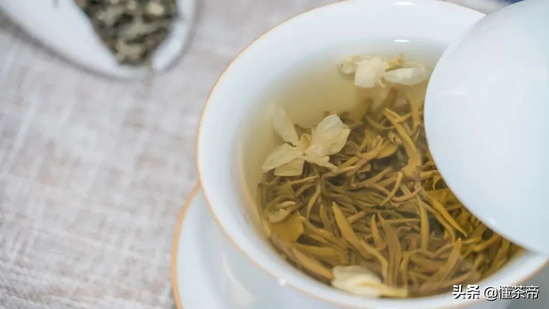 茉莉花茶饮料（茉莉花茶品牌推荐这几款闭眼入不踩雷）