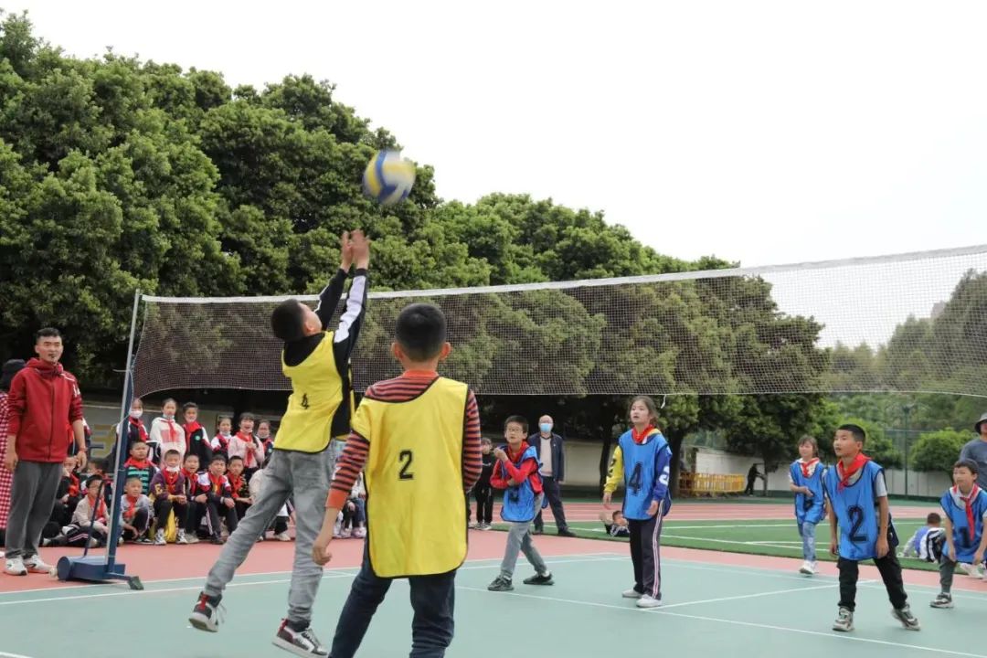 奋力拼搏展风采——天府新区煎茶小学校园排球赛拉开帷幕