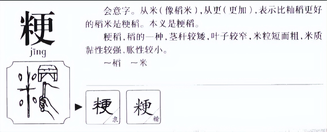 拼音:jīng基本字义:稻的一种,米粒宽而厚,近圆形,米质黏性强,胀性小