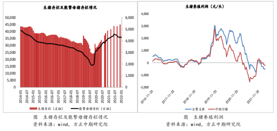 玉米已破历史高位，今年高点在何方？