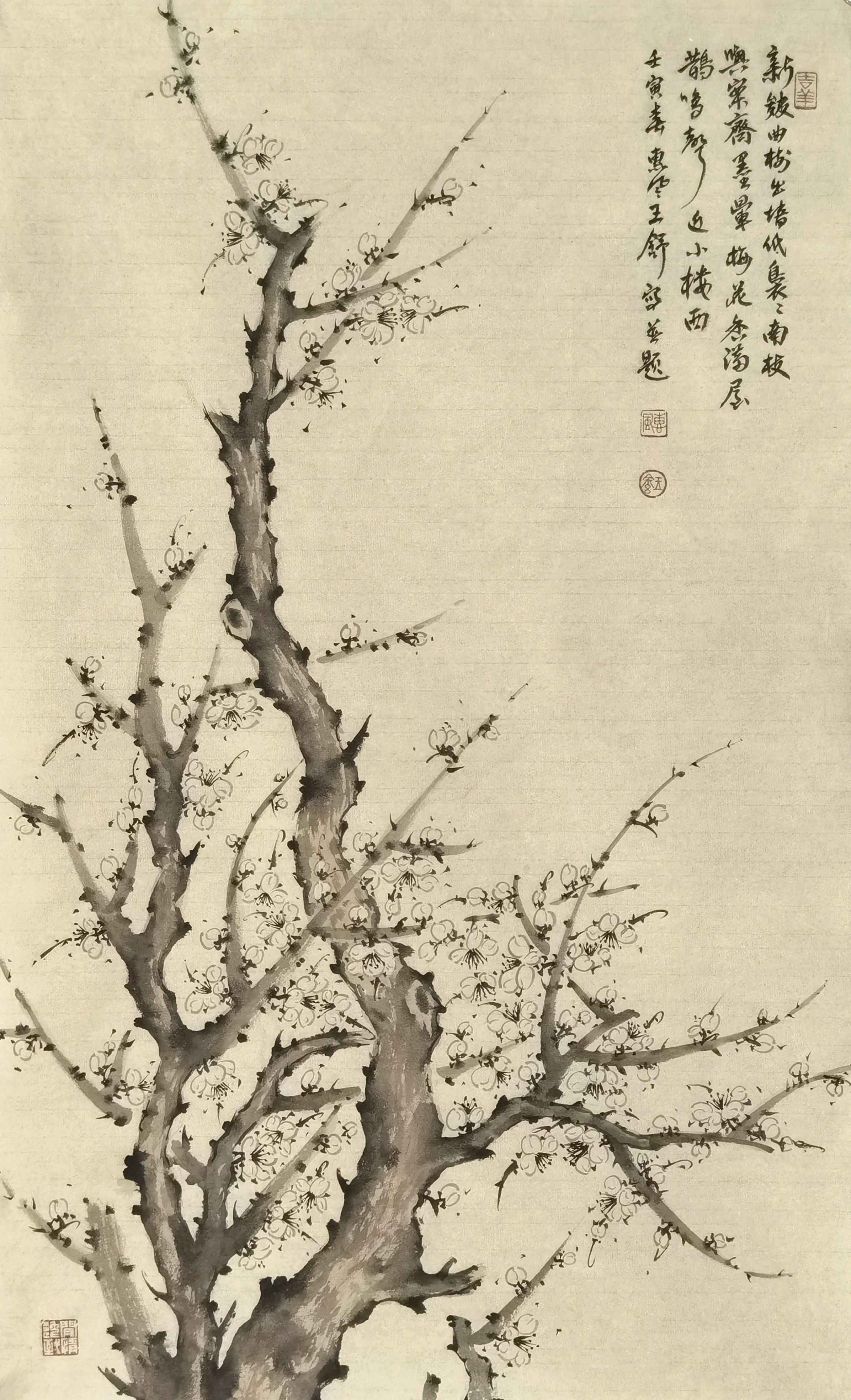 新锐画家王舒作品赏析