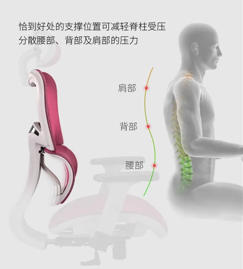 高性价比人体工学椅为你“撑腰”，科学减轻腰颈负担