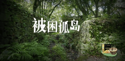 综艺情报站 |“再就业男团”《快乐再出发》收获满屏5星好评