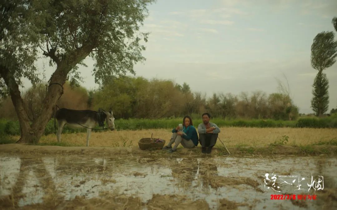 久违了，撤档重来，他真的好难