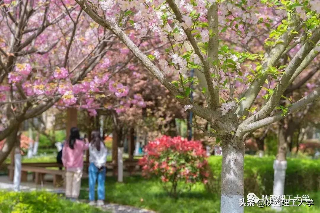 疫情过后，不一样的校园