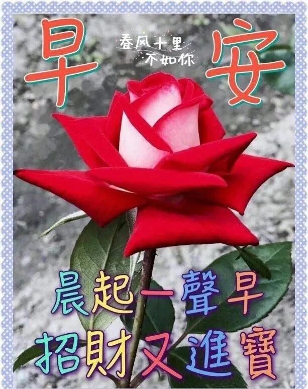 朋友圈早上好图片 最新版早上好问候语大全 晨起一声早 招财又进宝图片