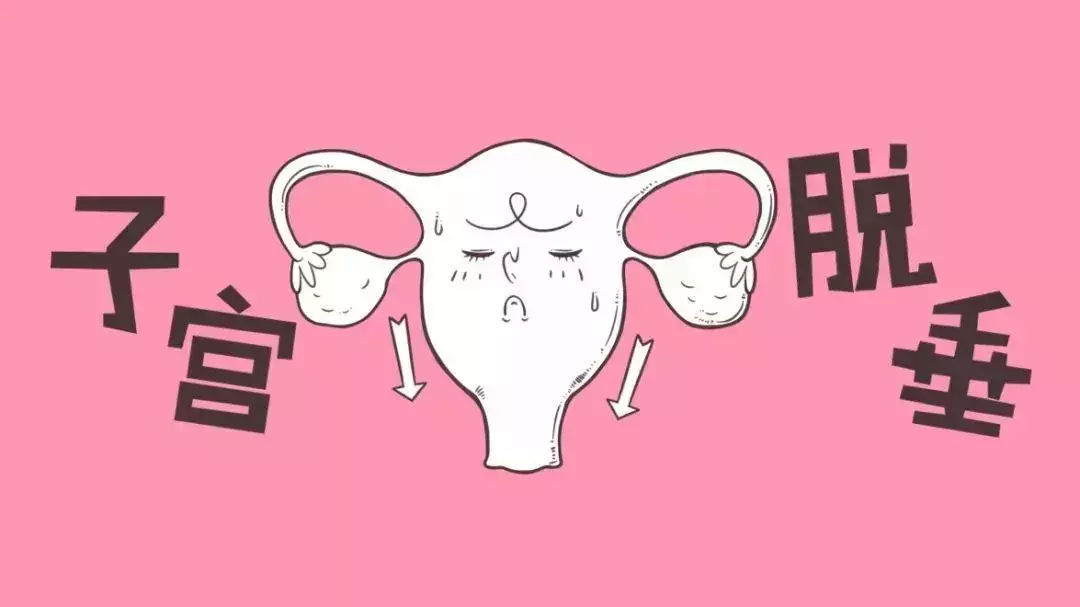 子宫动,静脉和输尿管均从阔韧带基底部穿过.