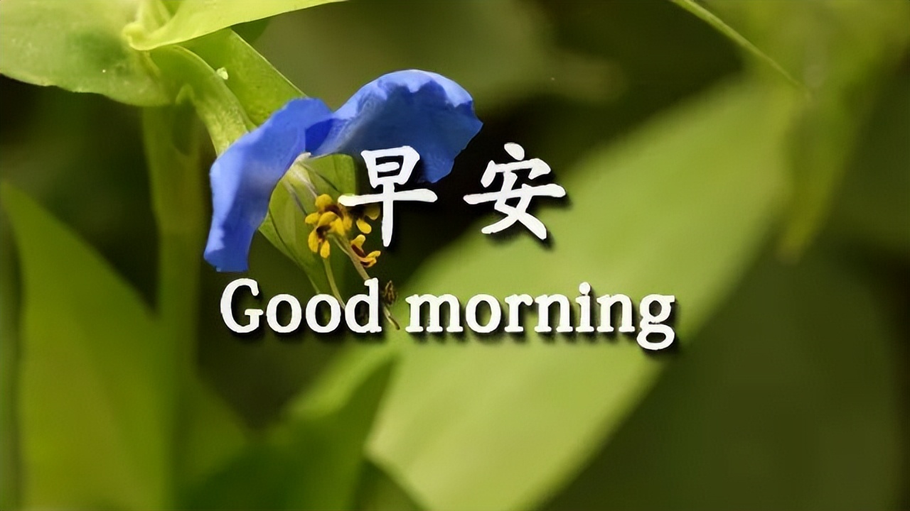 清晨微信早安美好祝福，祝你早安顺心，万事大吉，心情漂亮如花图片