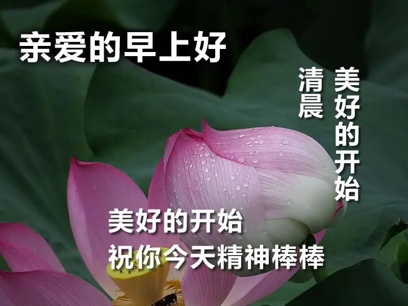 丰收节早上好问候语，送你祝福，知足才能常乐，珍惜才会幸福图片