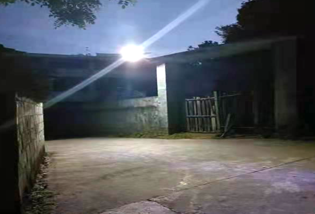 洪江区人大：人大代表为人民，路灯点亮居民心