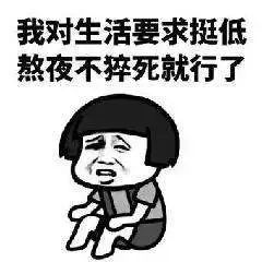 4款定期寿险对比