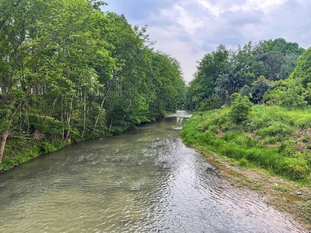 天府新区简华村｜“约”来幸福鹿溪河