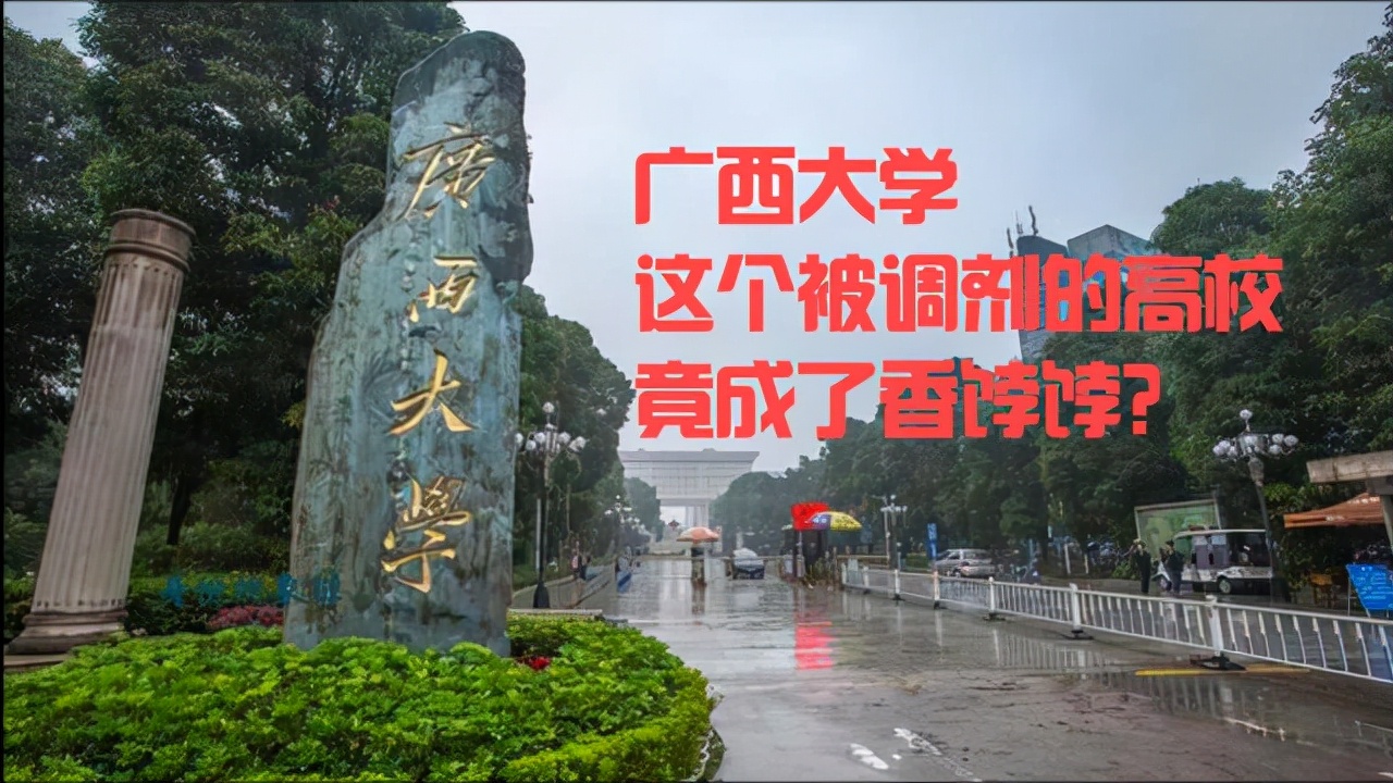 太心酸！考研国家线出来第3天，广西大学调剂需求表被下载30万次