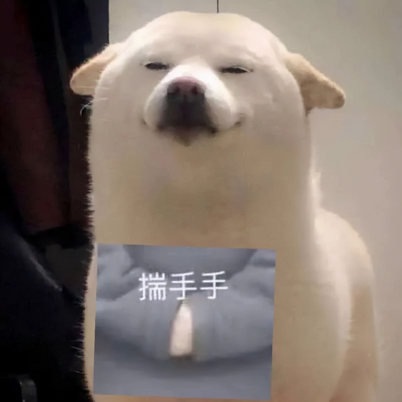 大洗牌15年，看看是谁红到了最后？