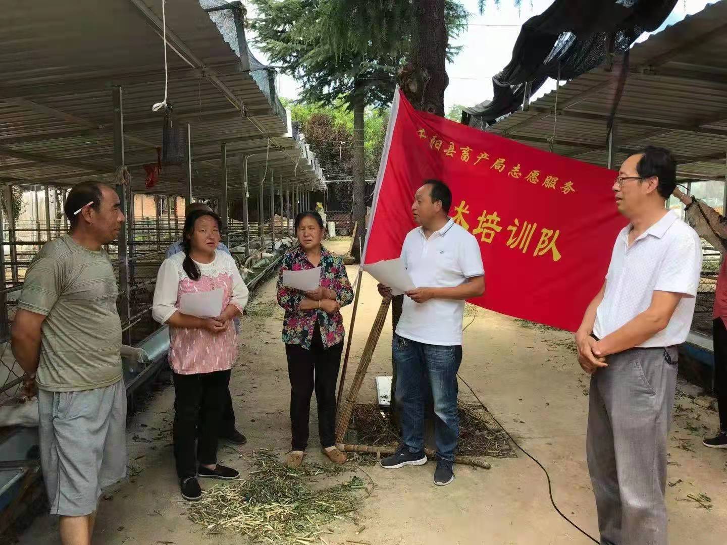 千阳县人大代表石志强：终生奉献畜牧事业无怨无悔