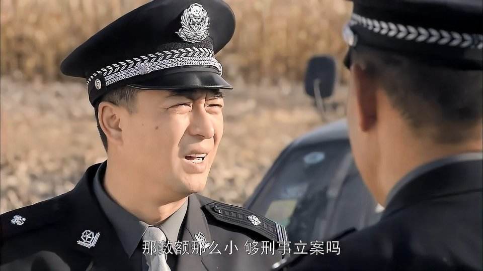 盘点警察电视剧里那些牺牲的警察，每一位都是英雄，缅怀英雄